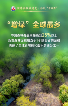 綠色，成為當(dāng)代中國鮮明底色