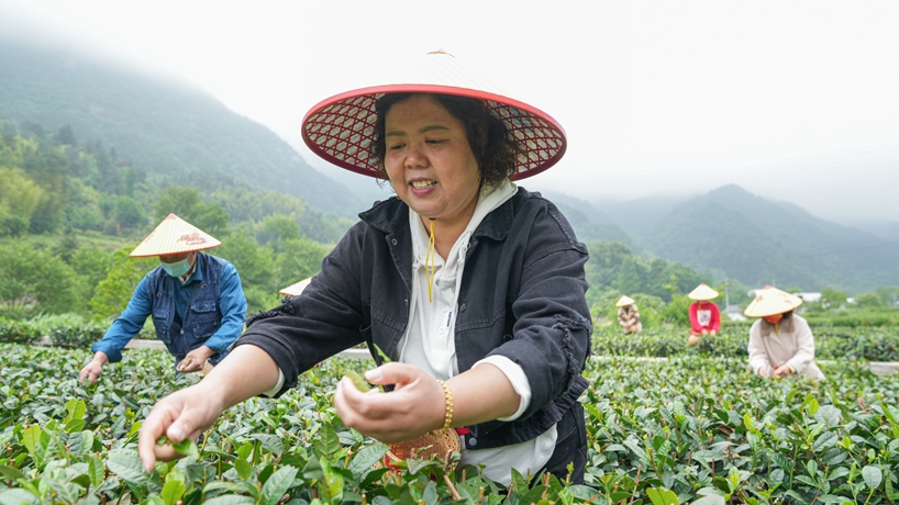 守“綠”換“金”！大別山區(qū)“兩山”實踐創(chuàng)新基地觀察
