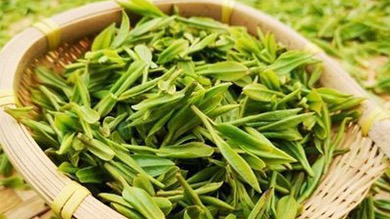 趕黃草專委會(huì)