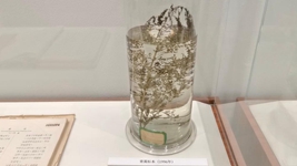 獻給世界的禮物——“青蒿素研究”持續(xù)助力全球抗瘧