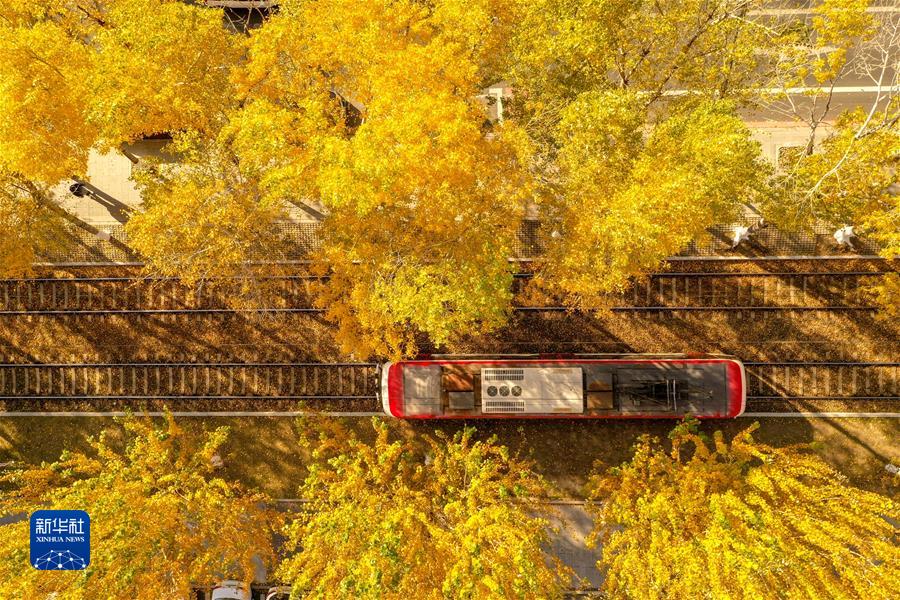 （鏡觀中國·新華社國內(nèi)新聞?wù)掌恢芫x）（10）長春秋景