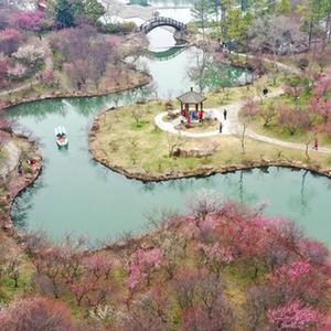 微信分享圖
