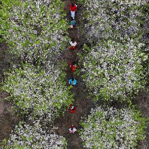 微信分享圖 #(社會(huì))(3)擁抱春天 樂(lè)享春光