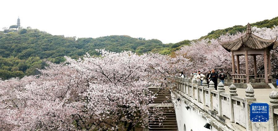 #（社會(huì)）（6）擁抱春天 樂(lè)享春光