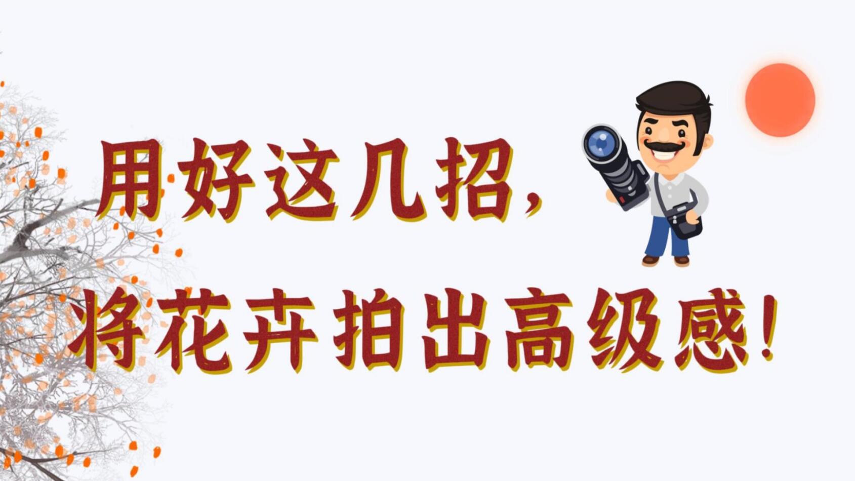 【光影輕課堂】用好這幾招，將花卉拍出高級(jí)感！