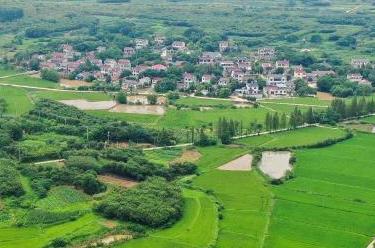 喜迎二十大丨以奮進新征程的狀態(tài)和苦干實干的行動，迎接黨的二十大勝利召開——江蘇：奮力邁上新臺階