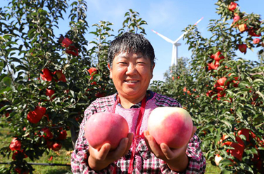 新華全媒+丨糧果豐收在望，農(nóng)民喜上心頭