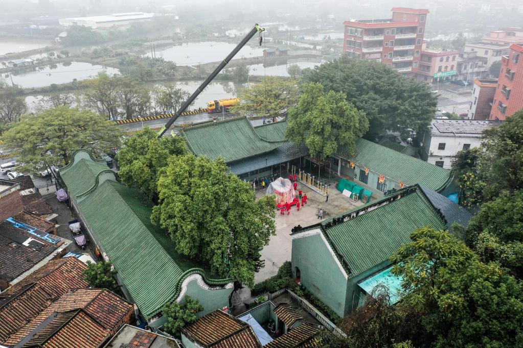 新華全媒+丨體育地理丨天下醒獅，皆出南海