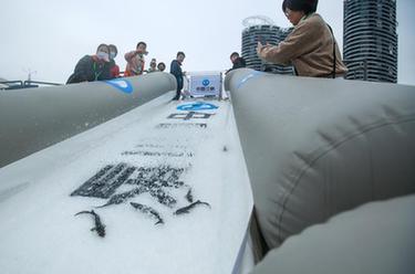 中華鱘保護(hù)日 湖北宜昌舉行中華鱘放流活動(dòng)