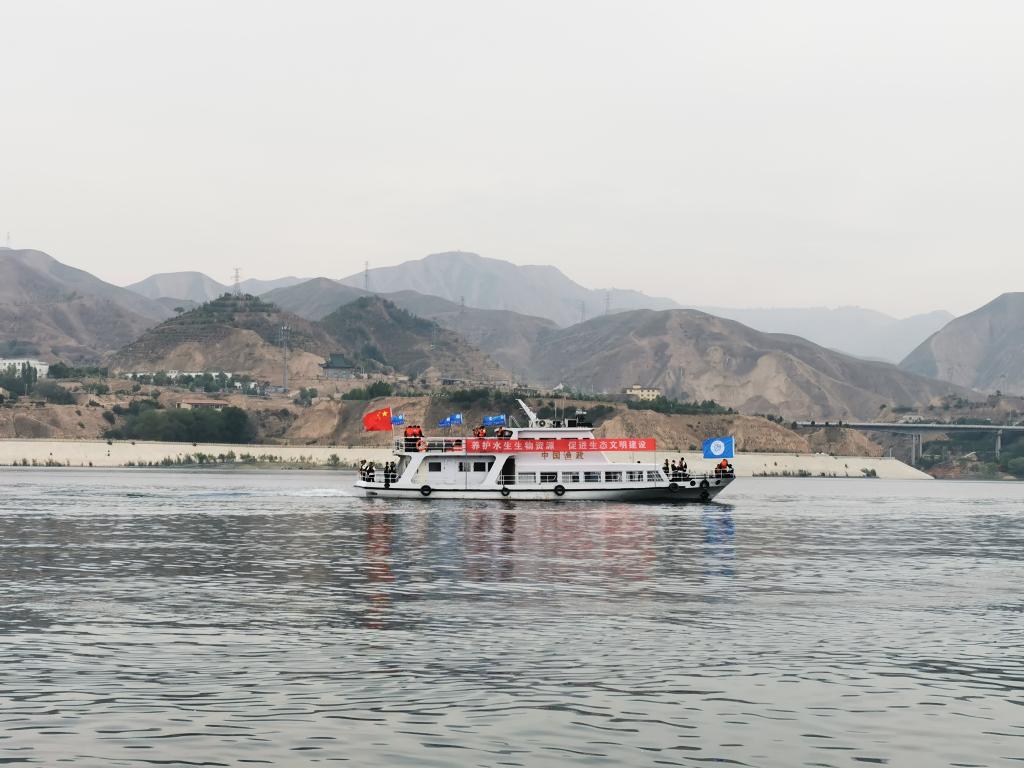 甘肅向劉家峽庫區(qū)放流鰱魚、鳙魚200萬尾