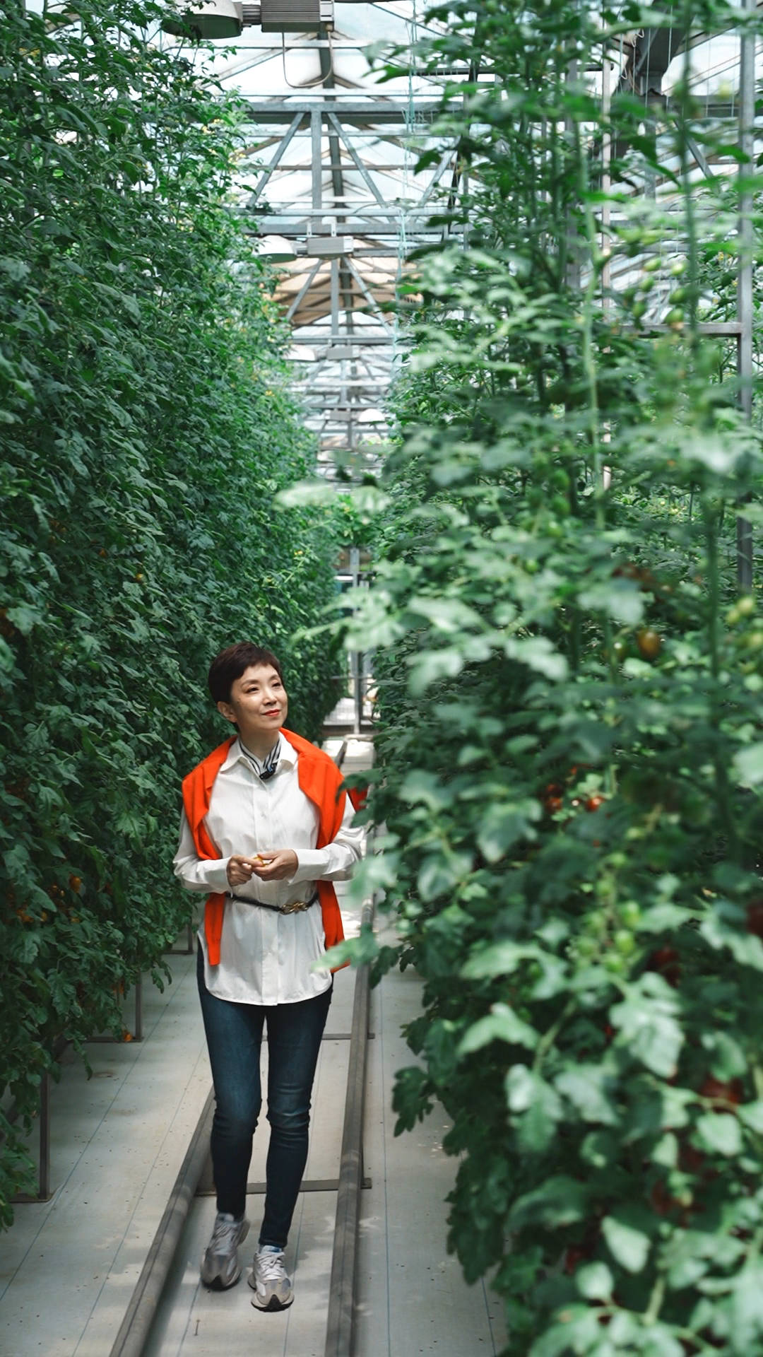 此菜非彼菜，哪个是你的“菜”？