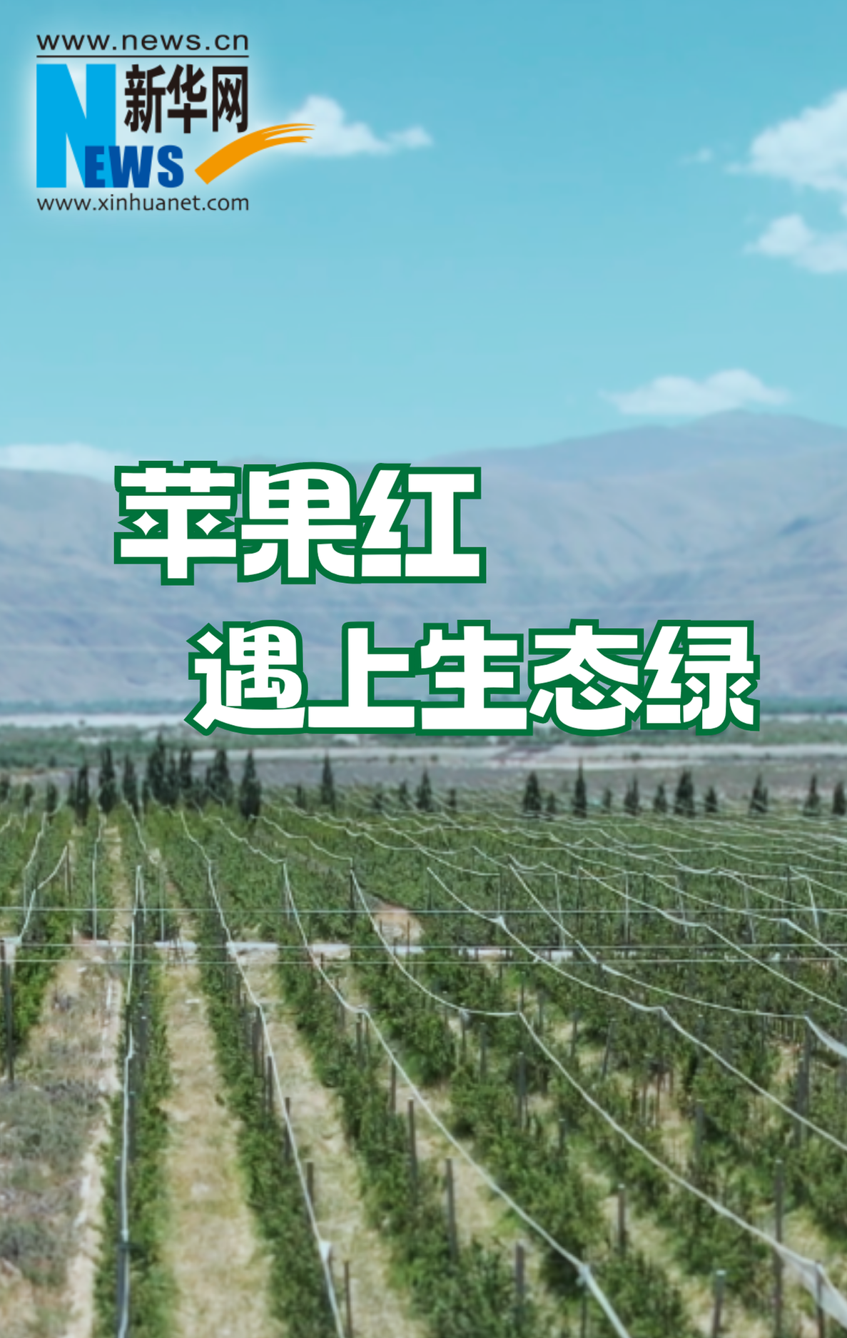 苹果红遇上生态绿
