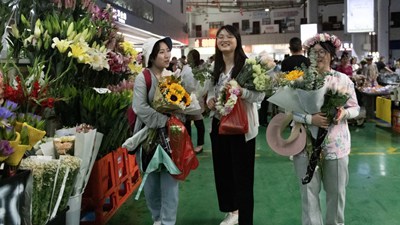 第1視點(diǎn)丨“云花”，事業(yè)興旺生活美