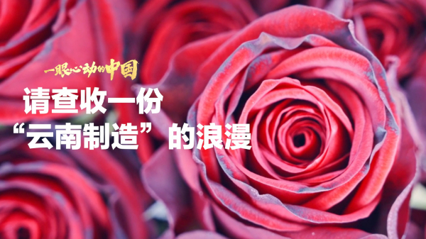 一眼心動(dòng)的中國丨請(qǐng)查收一份“云南制造”的浪漫
