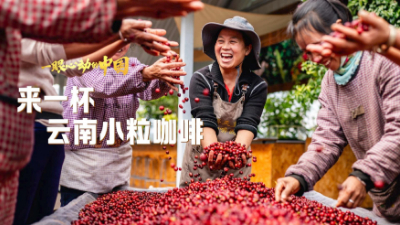 一眼心動(dòng)的中國丨來一杯云南小?？Х?></a> <span><img src=