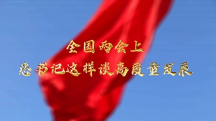 兩會(huì)上，總書(shū)記這樣談高質(zhì)量發(fā)展