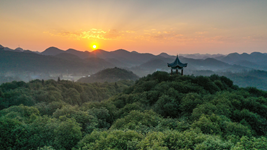 提升生態(tài)碳匯能力，植樹造林怎么干？