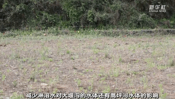 曾經(jīng)被“遺棄”的它們 搬到新家啦！