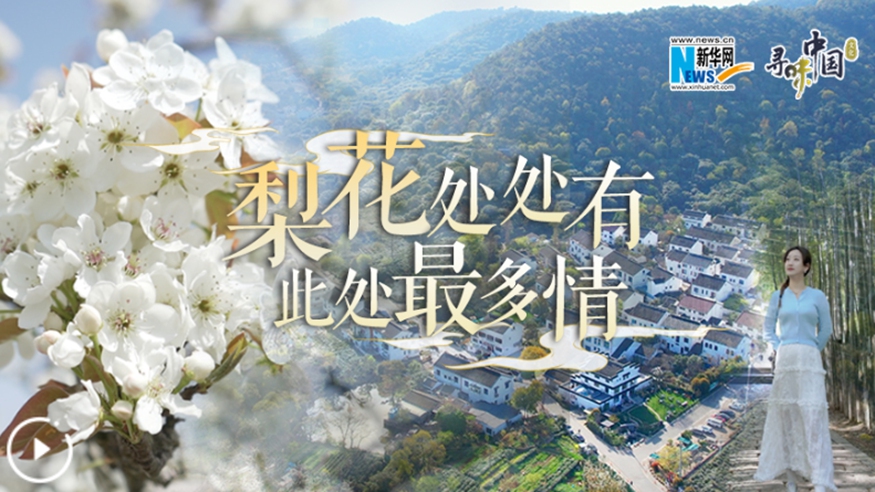 梨花處處有，此處最多情