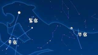 虎年來了，抬頭尋找天上的“白虎”