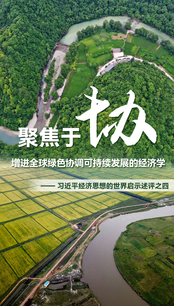 聚焦于“協”，增進全球綠色協調可持續(xù)發(fā)展的經濟學