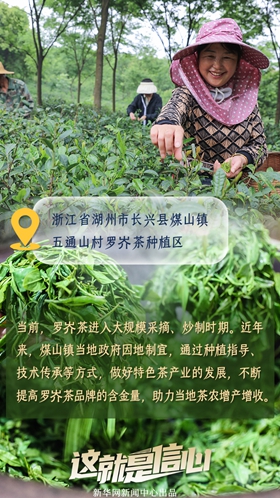 這就是信心丨應(yīng)季收獲忙！看田間地頭上的增收新路子