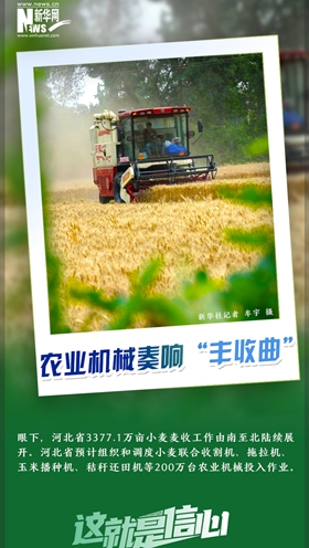 這就是信心｜好一派豐收景象！