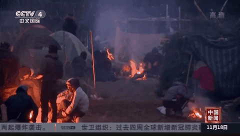 白俄羅斯和德國(guó)領(lǐng)導(dǎo)人再次就邊境難民問(wèn)題通電話(huà)