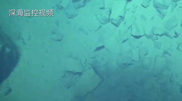 8919米！我國科學家首次探底雅浦海溝 成功采集深淵樣本