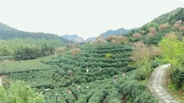 萬象“耕”新！碼住人間四月天