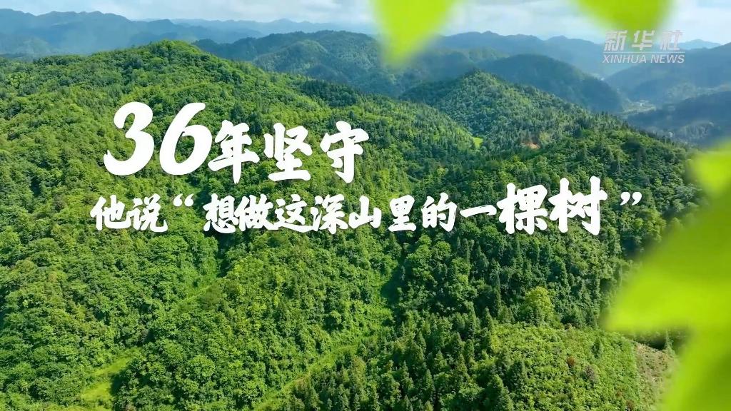 36年堅守！他說“想做這深山里的一棵樹”